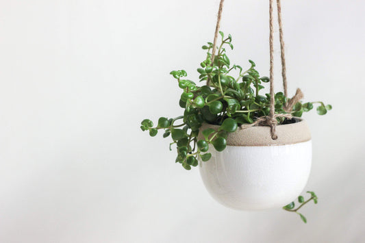 Small Boho Ceramic Hanging Planter Pot in White and Beige