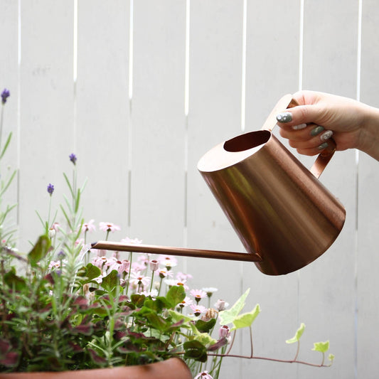 Modern Industrial Watering Can 1.1L