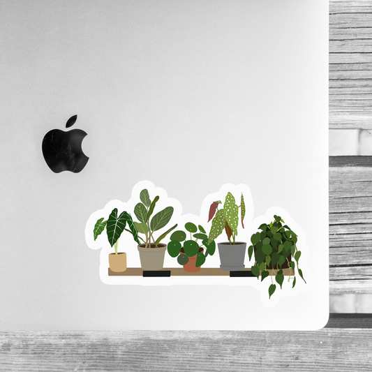 Your Favorite House Plants on a Wood Shelf Sticker