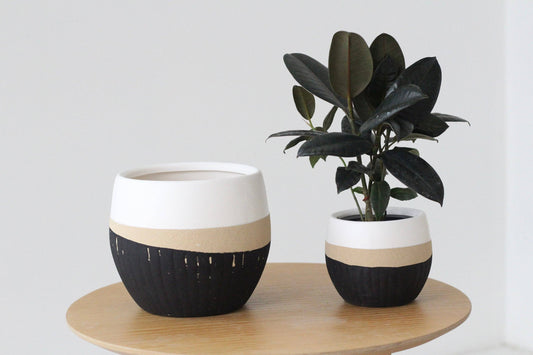 Texture Dipped Ceramic Planter Vase